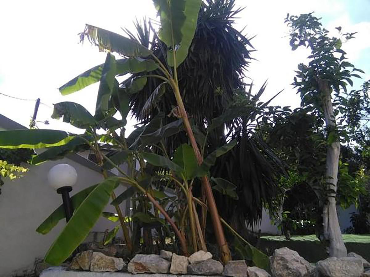 Aragorn Paradise Garden Moraitika Exterior photo
